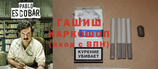 ешки Бородино