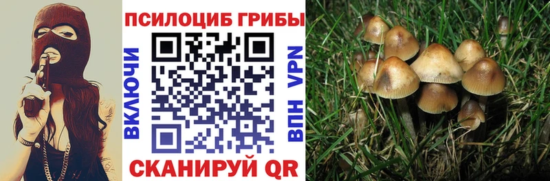 Галлюциногенные грибы Psilocybe Мураши